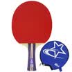 Doble felicidad DHS dos disparos y una pelota tipo I juego de entretenimiento doméstico tenis de mesa raqueta