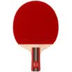 Pisces Table tennis rackets 4 stars double-sided sponge anti-attack type straight shot 4A-E short handle