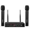 Newmine MC11 wireless microphone one for two wireless handheld microphones true U segment hands wheat home KTV stage speech conference