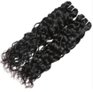 Ishow 7A Good Quality Brazilian Water Wave Virgin Hair 2PCS Brazilian Virgin Hair Wet&Wavy Virgin Hair Extensions