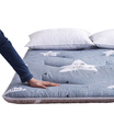 Antarctic thick tatami mattress double mat mat gray cloud 18 m bed