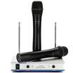 Victory TAKSTAR TS-3310HH One-to-Two Handheld Wireless Microphone Karaoke KTV Stage Performance Wireless Microphone Black