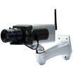 Battery Powered Practical Economic Dummy CCTV Security Camera with Activation Light motion detection sensor