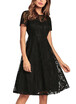 Sheer Lace Pleated O Neck Short Sleeve High Waist Swing Dress