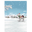 Christmas Snowman Photo Backdrop 57FT Vinyl Fabric Cloth Digital Printing Photo Background s-997