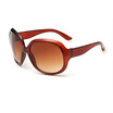 Oversized Sunglasses Women Charming Sun Glasses Fashion Female Eyewear Gradient Lens