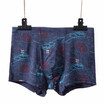 Men Sexy Boxer Ventilate Plus Size Boxers Brand Mens Underwear Men Shorts Pant