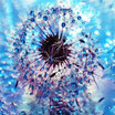 5D DIY Diamond Embroidery Dream Dandelion Sunset Cute Hedgehog Diamond Painting Rhinestone Home Decoration