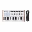 WORLDE TUNA MINI Controlador de teclado MIDI USB ultraportátil de 25 teclas 8 almohadillas de disparo retroiluminadas RGB con conector de pedal de 635 mm