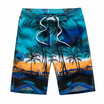 2018 Hot Summer Mens Board Shorts Fashion Printed Beach Shorts Men