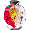 Mens Hoodie 3D Printed Women Pullover Sweater