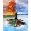 Full Drill 5D Diamond Painting Embroidery Cross Crafts Stitch Kit Home Decor DIY