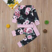 2Pcs Newborn Baby Boys Girls Floral Hooded Tops Sweatshirt Pants Outfits Clothes