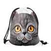 Cool cat&cat Oxford bag bag for bundles