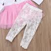 Newborn Kids Baby Girl Flower Bunny Lace Tutu Dress Top Pants Outfit Set Clothes