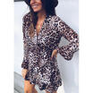 Women Long Sleeve Leopard Print Mini Dress Autumn Party Club Wear T-Shirt Dress