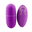 Waterproof Wireless Remote Control Massager Egg Women Vibrator Toys New