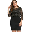 Plus Size Shining Crop Top with Fitted Dress