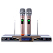 Newman Newmine H-6609 Wireless Microphone Microphone Karaoke Computer K Song Stage Conference School Presentation Universal One Drag Two Microphones