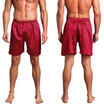 Plus Size Mens Silk Satin Pajamas Shorts Sleepwear Loungewear Pajama Underwear