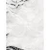 Fashion Women Short Sleeve Shirt Casual Lace Blouse Loose Cotton Tops T-Shirts