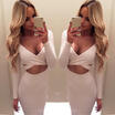 Women Long Sleeve Sexy Bodycon Evening Party Cocktail Pencil Clubwear Mini Dress
