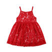 Flower Girl Princess Dress Kid Baby Party Wedding Lace Tulle Braces Lace Skirts
