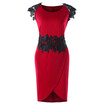 Plus Size Color Block Lace Applique Dress