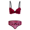 Women Romantic Lace Bra Sets Underwear Set Push Up Bc Bra And Panty Set