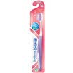 Lion Lion fine teeth cleaning gums times the toothbrush old&new packaging color random release