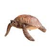 Si Le Schleich German brand toys handmade paint color marine wildlife simulation animal model children puzzle early teaching aids - turtle SCHC14695