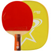 Double Happiness DHS 2-star ping-pong racket double-sided anti-plastic ring with fast-break straight shot A2006 single shot new random R2006