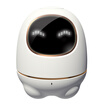 iFLYTEK intelligent robot TYS1 early education educational toy white