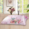 Taihu Lake snow bed home textile silk pillow pillow 100 silkworm silk single pillow pillow single filled garden spring 48 74cm