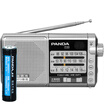PANDA T-01 Portable Radio FM TF Music Playersliver