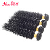 Anne Well Hair Products Unprocessed Virgin Mongolian Afro Kinky Curly Human Hair Extensions for Black Women Beauty Natural Black