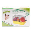 pawise little pet play ball hamster rat rattan gold bear&so on with the training toy grass green