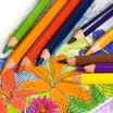 Maple 24 - color Big Head Coarse Colored Pencils 836424