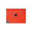 Free shipping 5PCS ALC5631 in stock