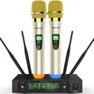 Newman Newmine H-6609 Wireless Microphone Microphone Karaoke Computer K Song Stage Conference School Speech Universal One Drag Two Microphones