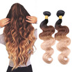 Ombre Indian Virgin Hair Body Wave 12-24 Mink Indian Virgin Hair Body Wave 4 Bundles Ombre Indian Hair Weave Bundles
