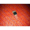 Free shipping 10PCS IRF1404PBF TO220 IR in stock