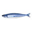 Handsome Pet Toys Trousers Toys with zippers replaceable cat mint simulation saury 30cm