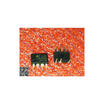 Free shipping 10PCS LNK306PN LNK306P DIP7