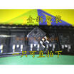 Free shipping 10pcslot SMD STGB10NB37LZ GB10N37LZ quality TO-263 new original