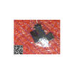 Free shipping 5PCS R5538 in stock