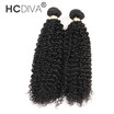 HCDIVA Hair 2 Bundles Brazilian Virgin Hair Unprocessed 100 Human Virgin Hair Kinky Curly Weave Brazilian Curly Hair Weave