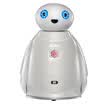 Akko Flows Capability Storm Education Robot Mobile Series AI Intelligent Programming
