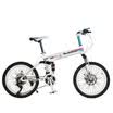 Rockefeller R20020 Inch 21 Speed Full Shocking Proof Mountain bike Magnesium alloy integral wheel