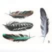 LMA Loma Personality 3D Sticker Color Feather Car Sticker